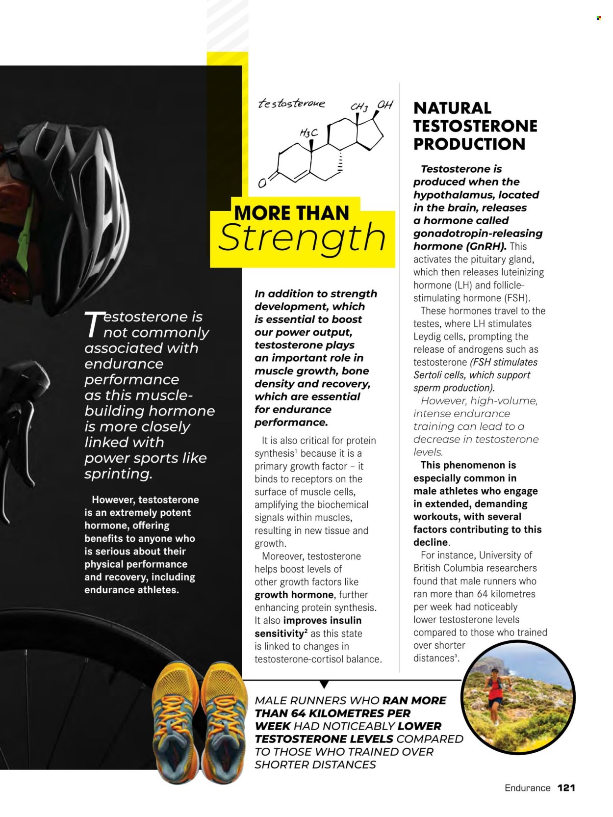 Dis-Chem specials. 