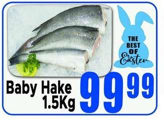 Baby Hake