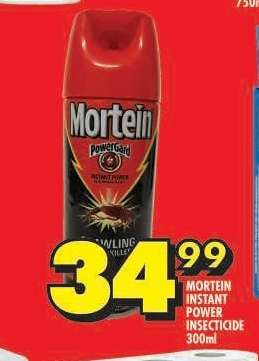 MORTEIN INSTANT POWER INSECTICIDE 300ml