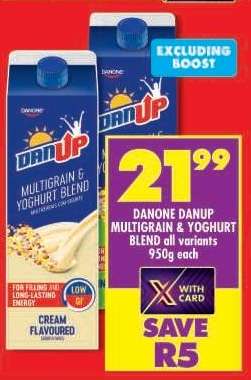 DANONE DANUP MULTIGRAIN & YOGHURT BLEND