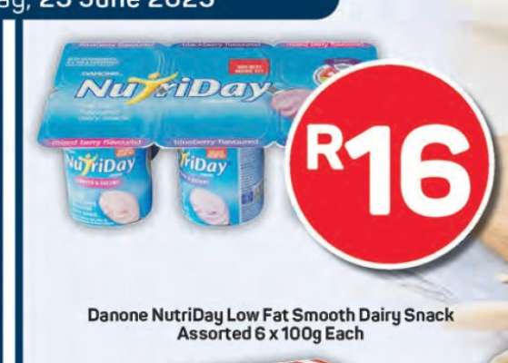 Danone NutriDay Low Fat Smooth Dairy Snack