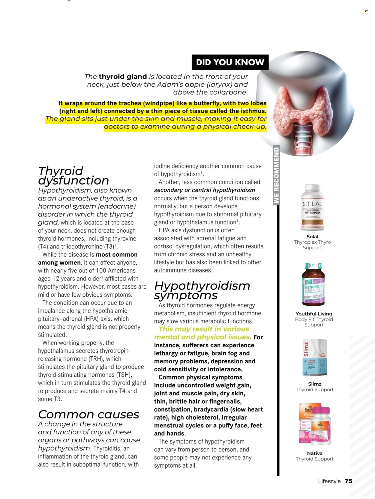 Dis-Chem specials. Page 77