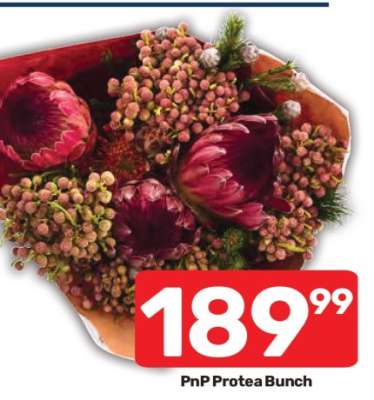 PnP Protea Bunch