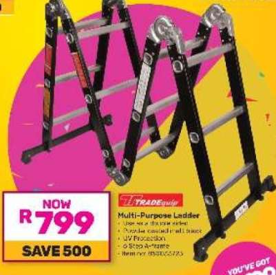 Multi-Purpose Ladder