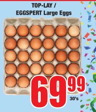TOP-LAY / EGGSpert Large Eggs