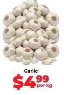 Garlic