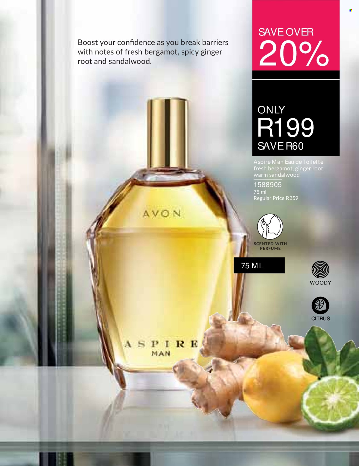 Avon specials - 08.01.2026 - 08.31.2026. Page 79