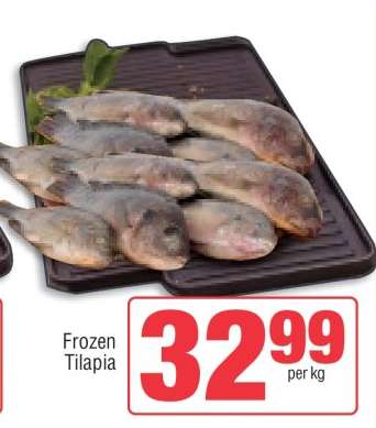 Frozen Tilapia