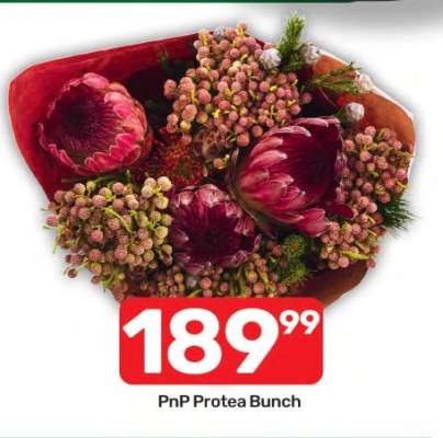 PnP Protea Bunch