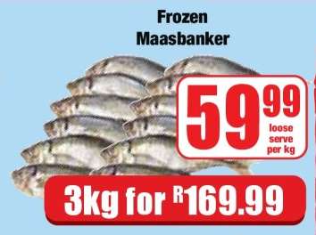 Frozen Maasbanker