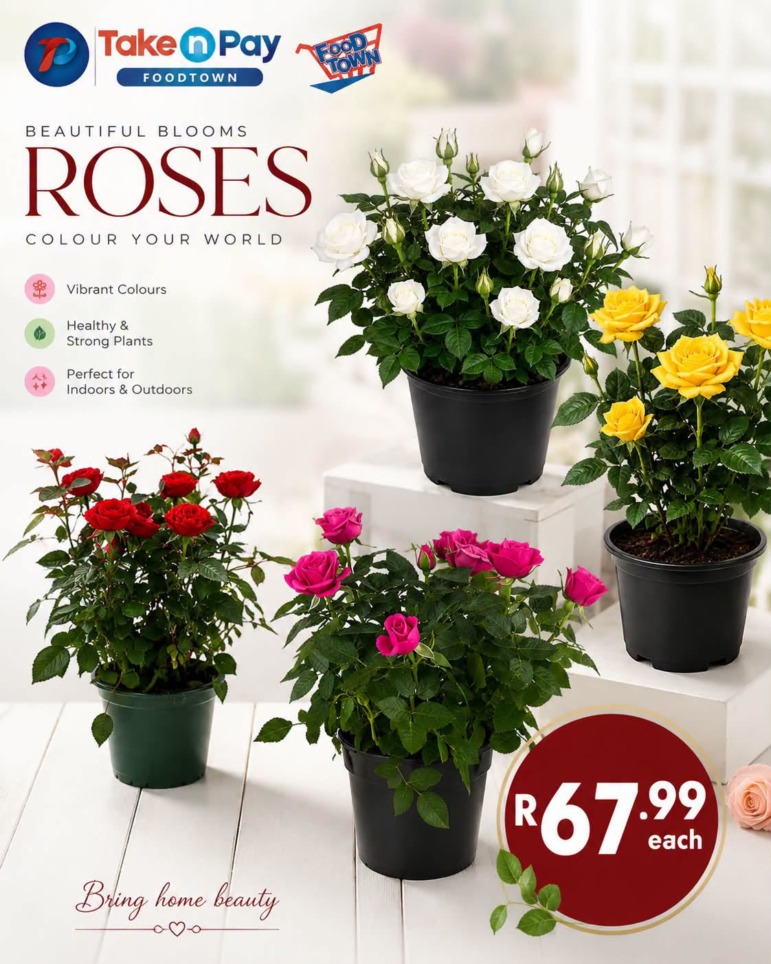 Take n Pay specials. Page 1