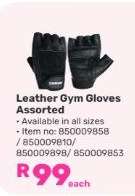 Leather Gym Gloves Assorted
