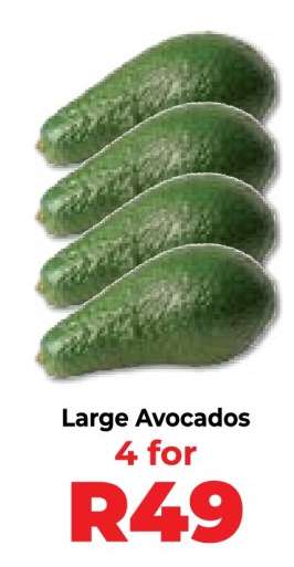 Large Avocados
