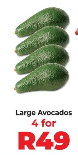 Large Avocados