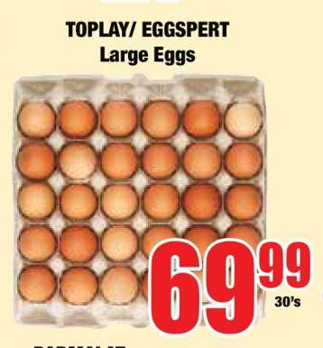TOPLAY/ EGGSpert Large Eggs