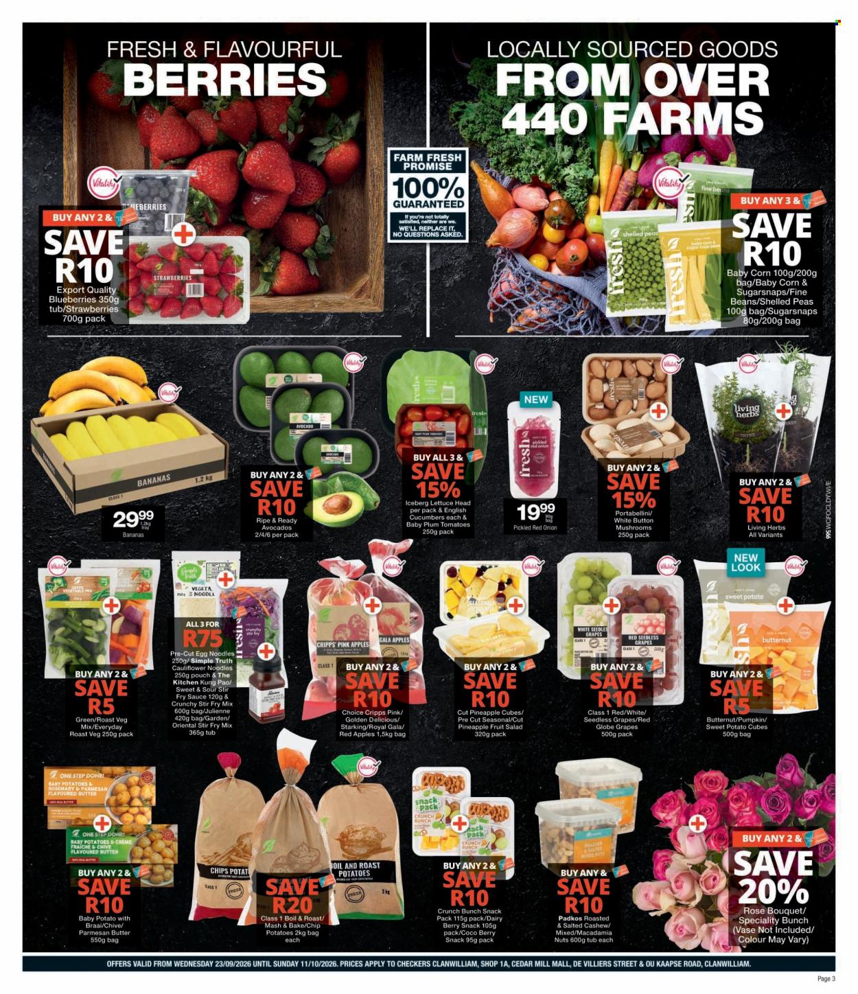 Checkers specials - 09.23.2026 - 10.11.2026. Page 3