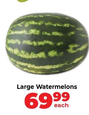Large Watermelons
