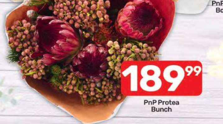 PnP Protea Bunch