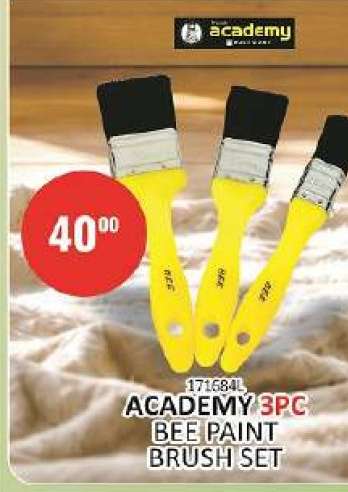 ACADEMY 3pc Bee Paint Brush Set